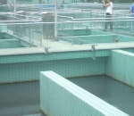 a plataforma slots paga mesmo